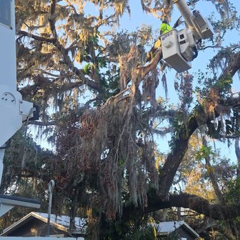 Quality Land Services - Tree Services Near Me - Valdosta, Georgia Quality Land Services - Tree Services Near Me - Valdosta, Georgia