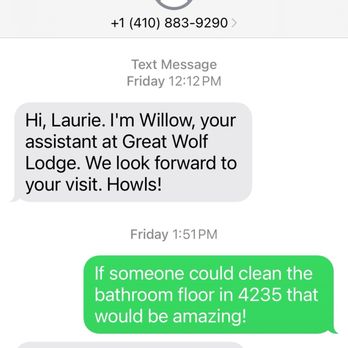 Great Wolf Lodge - Hairy bathroom floor - never cleaned - Water Parks Near Me - Perryville, Maryland Great Wolf Lodge - Hairy bathroom floor - never cleaned - Water Parks Near Me - Perryville, Maryland