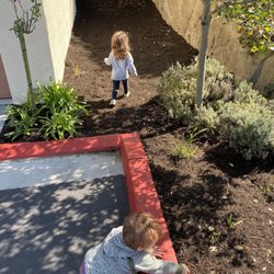 We go on daily neighborhood walks.