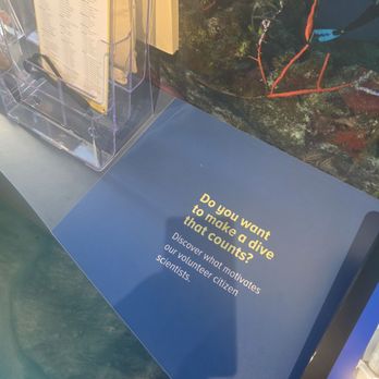 Reef Ocean Exploration Center - Join the cause invitation. - Visitor Centers Near Me - Key Largo, Florida Reef Ocean Exploration Center - Join the cause invitation. - Visitor Centers Near Me - Key Largo, Florida