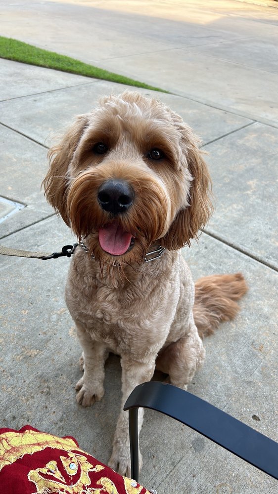 RIGSBY VETERINARY CLINIC Updated September 2024 30 Reviews 4831