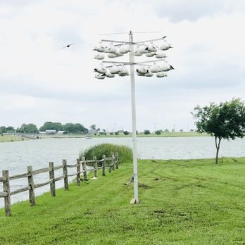 Lake Pflugerville - Purple martins in residence - Parks Near Me - Pflugerville, Texas