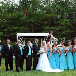 Cavender Castle Weddings - Wedding Party with Horse and Carriage at Cavender Castle
