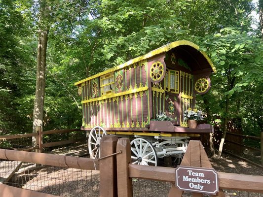 Busch Gardens Williamsburg by null