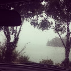 Island Bay Road Wharf - Watching the rain pass