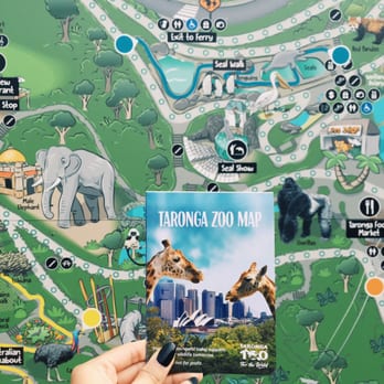 Taronga Zoo - Zoos Near Me - Mosman, NSW