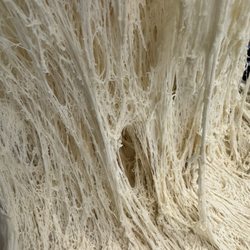 Umpleby's Bakery & Cafe - Sour-dough Gluten Strands; #bakers