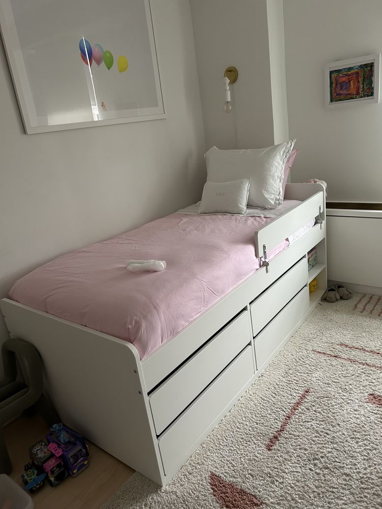 Slide of Maximus Mechanical