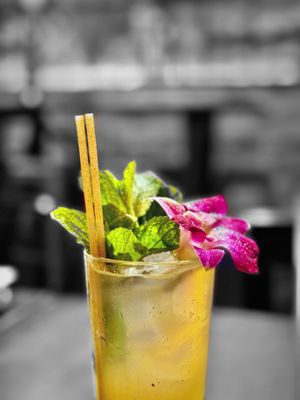 Wizards & Wands by null