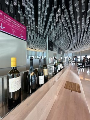 Cité du Vin by null