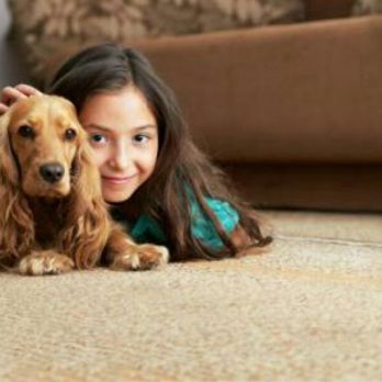 ChemDry of the Midlands - Pet and children friendly. No sticky residue. - Carpet Cleaning Near Me - Sumter, South Carolina ChemDry of the Midlands - Pet and children friendly. No sticky residue. - Carpet Cleaning Near Me - Sumter, South Carolina