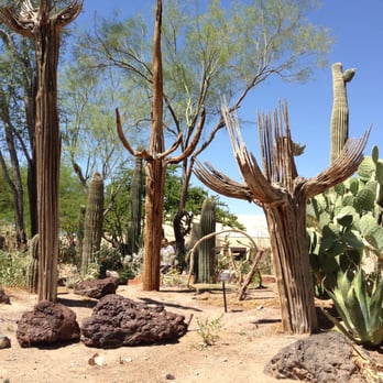 Ethel M Chocolates - cactus skeletons - Botanical Gardens Near Me - Henderson, Nevada Ethel M Chocolates - cactus skeletons - Botanical Gardens Near Me - Henderson, Nevada