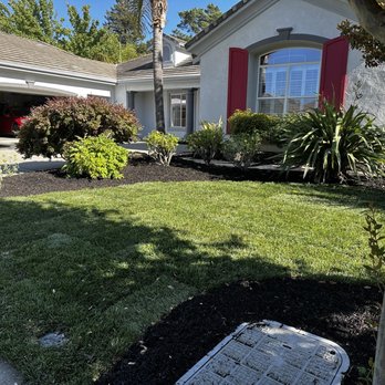 Izazaga Landscape - Fresh new grass - Landscaping Near Me