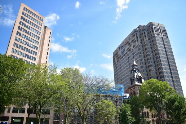 New Haven Green by null