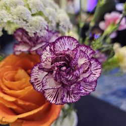 Roots + Blooms