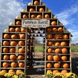 Happy Day Farm