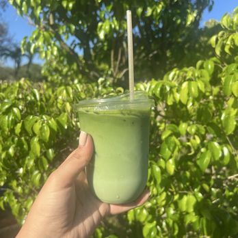 Little V's - Coffee & Tea Near Me - Pembroke Pines, Florida Little V's - Coffee & Tea Near Me - Pembroke Pines, Florida