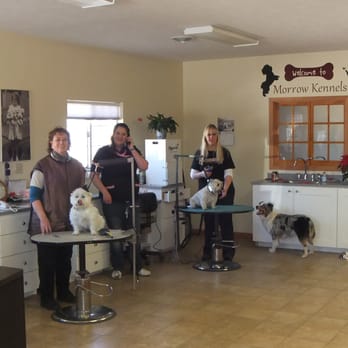 Morrow Kennels - The girls busy at work - Pet Sitting Near Me - Tekamah, Nebraska