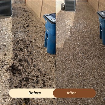 We Scoop 4 You - Before and after photos. - Pet Waste Removal Near Me - Las Vegas, Nevada We Scoop 4 You - Before and after photos. - Pet Waste Removal Near Me - Las Vegas, Nevada