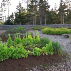 Roma at Three Rivers - Kitchen gardens