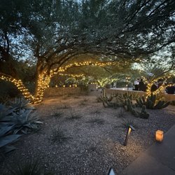 Las Noches de Las Luminarias - Views