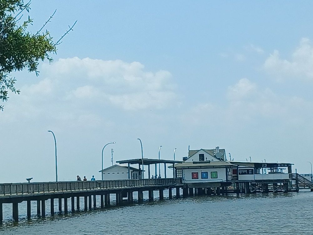 THE BLIND TIGER - Updated August 2024 - 1 N Beach Rd, Fairhope, Alabama