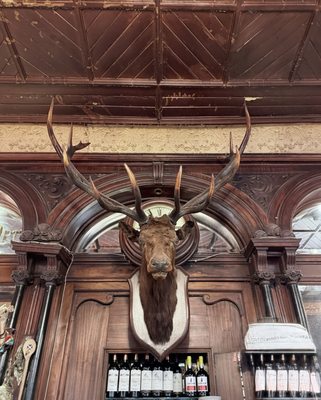 The Stags Head by null