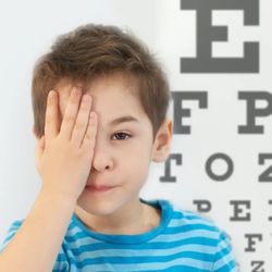 True Eye Experts Of Lutz - True Eye Experts of Lutz