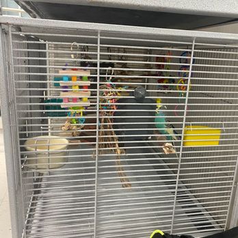 Exotic Birds By Fran - Pet Stores Near Me - Cypress, California