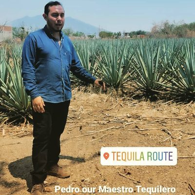The Agave Experience by null