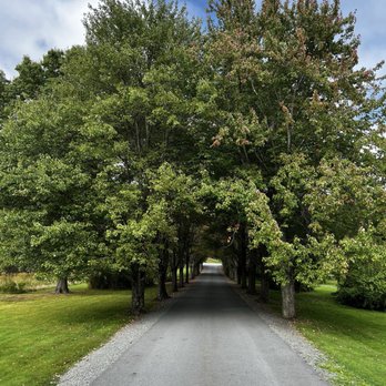 The Mansion at Noble Lane - The picturesque driveway! It's dreamy - Bed & Breakfast Near Me - Bethany, Pennsylvania The Mansion at Noble Lane - The picturesque driveway! It's dreamy - Bed & Breakfast Near Me - Bethany, Pennsylvania