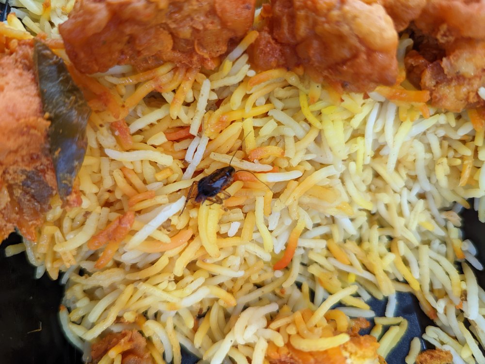 RUCHI INDIAN RESTAURANT Updated November 2024 54 Photos & 221