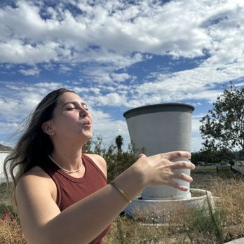 WORLDS LARGEST PAPER CUP - Updated May 2025 - 800 E Citrus St ...