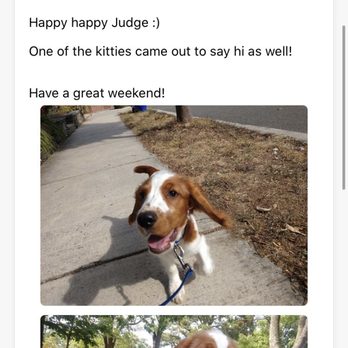 Two Way Dog Walking and Pet Services - The detailed walk from one of the TWDW, Erik. Provides a map of the loop, a detailed description of the walk and photos. - Dog Walkers Near Me - Arlington, Virginia