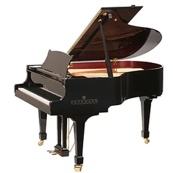 Costa Piano Shoppes