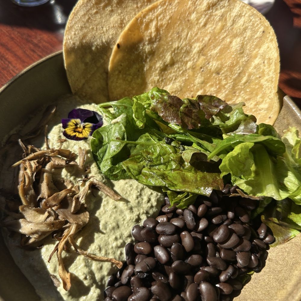 Wahpepah’s Kitchen - Wild native mushroom pumpkin seed mole - Salad Near Me - Oakland, California Wahpepah’s Kitchen - Wild native mushroom pumpkin seed mole - Salad Near Me - Oakland, California