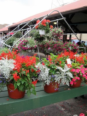 Toledo Farmers' Market by null