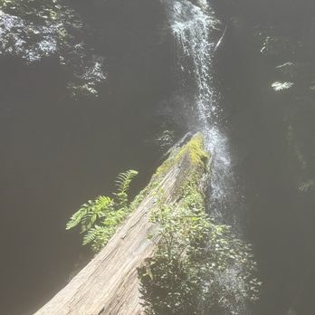 Russian Gulch State Park - Parks Near Me - Mendocino, California