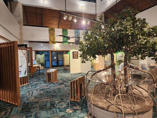 Anne Kolb Nature Center by null