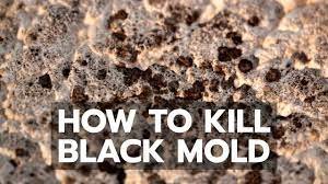 EnviroBrite Inspections - mold inspector in Revere, MA