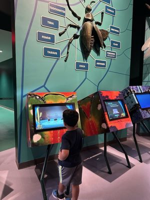 Audubon Insectarium by null