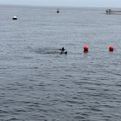 Catalina Divers Supply