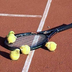 Tennis-Club Blau-Gold Bonn