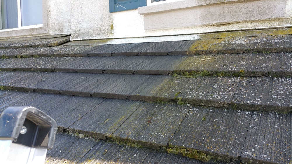 Slide of No Moss SoftWash