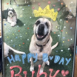 High Tail Hotel - (And yes, they took birthday photos of Ruby every year.)