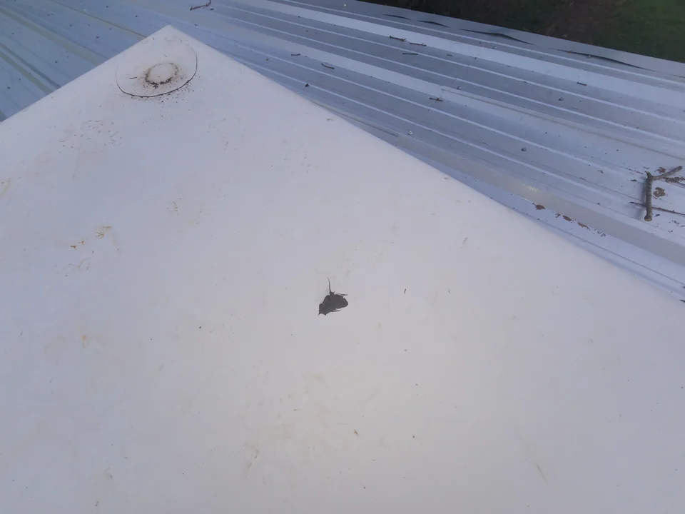 Slide of Discount Roofers