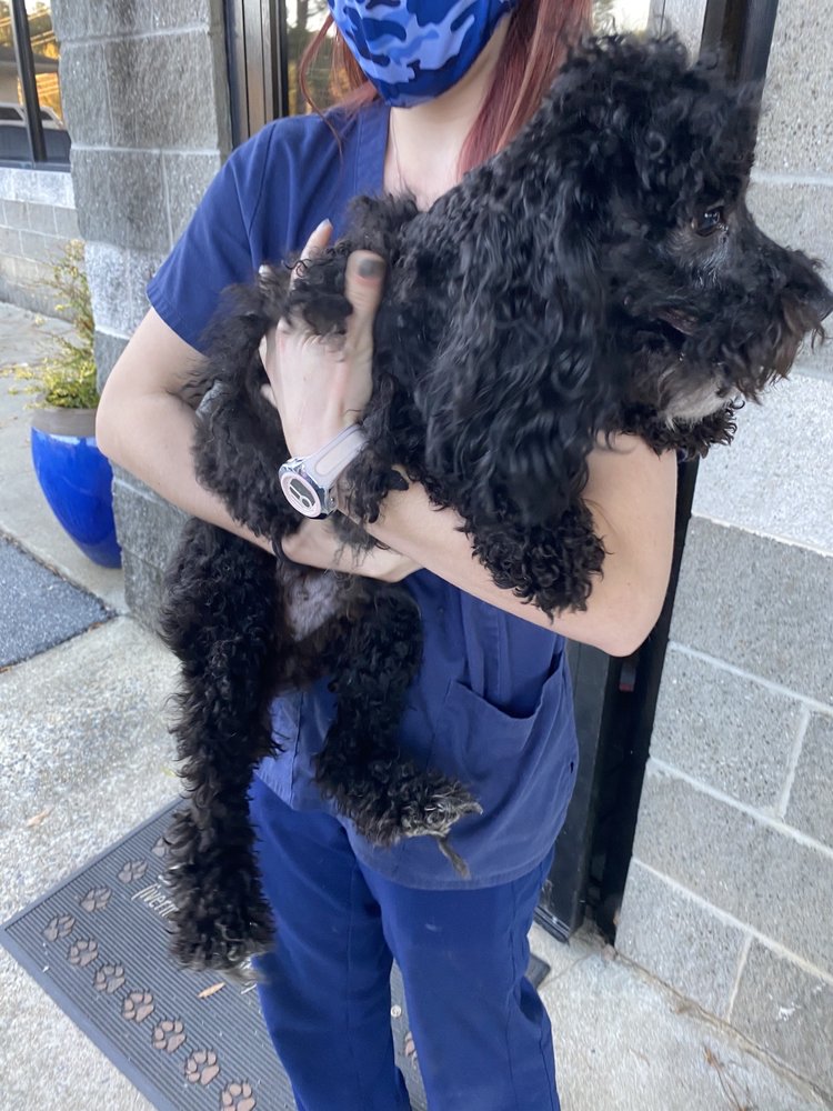 TOWN AND COUNTRY VET CLINIC WEST Updated September 2024 25 Photos