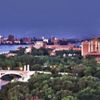 Show Me Detroit Tours gift card