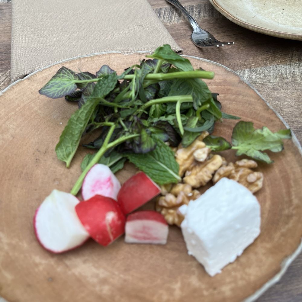 Delbar Middle Eastern - Complimentary (radish, walnut, mint, feta) - Persian/Iranian Near Me - Atlanta, Georgia Delbar Middle Eastern - Complimentary (radish, walnut, mint, feta) - Persian/Iranian Near Me - Atlanta, Georgia