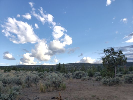 Oregon Badlands Wilderness by null